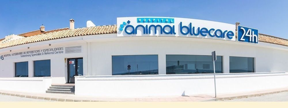 Bluecare Animal Hospital
