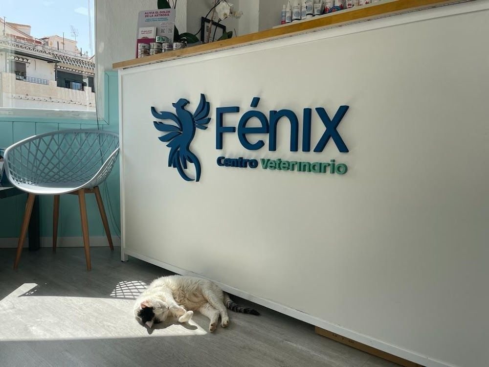 Centro Veterinario Fénix