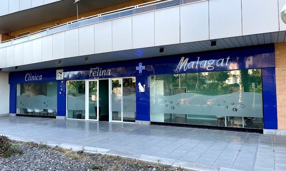 Clínica Veterinaria Felina Malagat