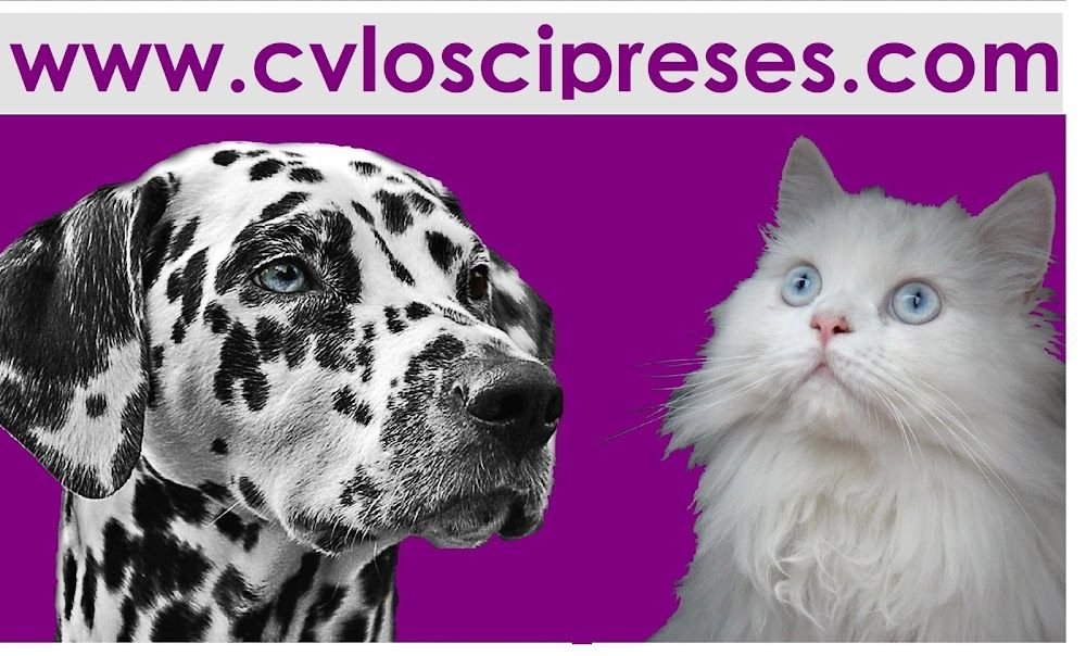 Clínica Veterinaria Los Cipreses