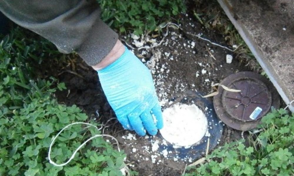 Desfiplagas (control de plagas Estepona)