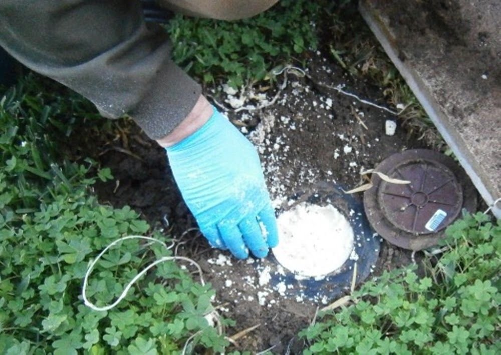 Desfiplagas (control de plagas Estepona)