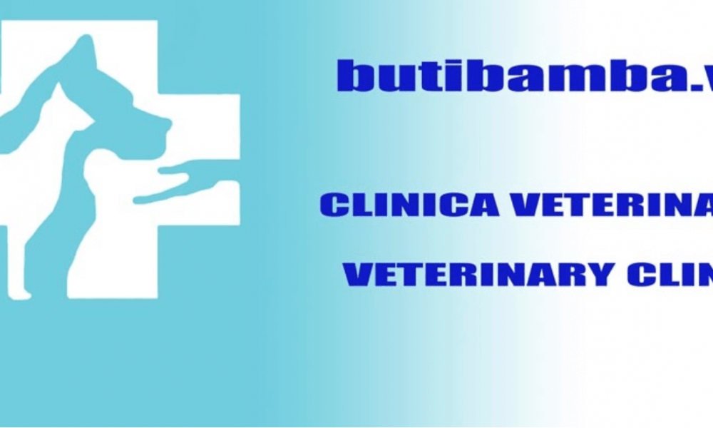 Clinica Veterinaria butibamba.vet