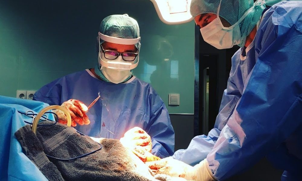 Myramar Animal Hospital
