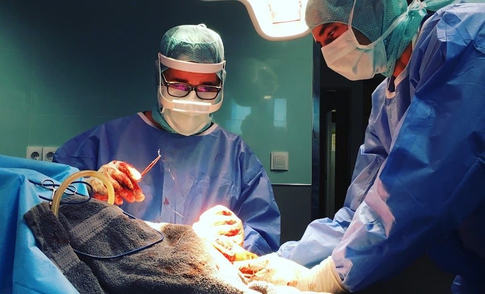 Myramar Animal Hospital