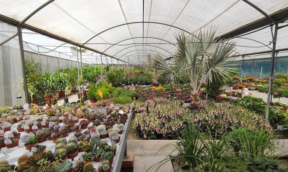 Vivero Veracruz Benalmadena