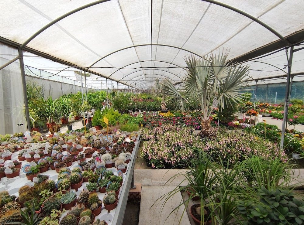 Vivero Veracruz Benalmadena