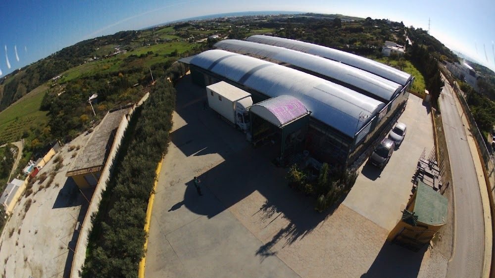 Viveros Hermanos Antequera Estepona